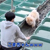 なんとか救出された