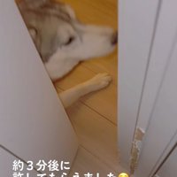 体をずらすセナくん