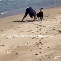 砂山を見るロコくん