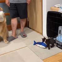 「一緒に遊ぼう！」