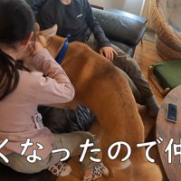 「もうやめなさい！」