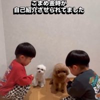 「お名前は？」とワンコたちに質問