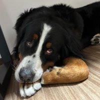 今も全然変わらない