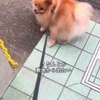 可愛い抵抗にクスッ