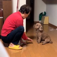 お手を指示するおばあちゃん