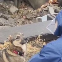 戻ってきたまる君