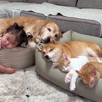 みんなで仲良くおねんね♡