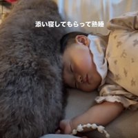 尊すぎる添い寝…！