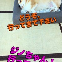 「いってくるね」