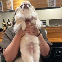 抱っこ