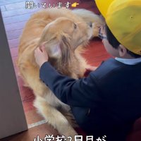 サンちゃんも受け止めます
