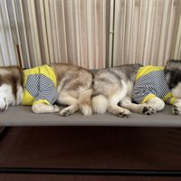 おしり