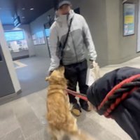 尻尾ブンブンッ