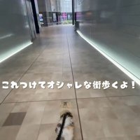 おしゃれして渋谷へ