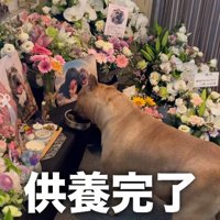 プロ級の供養！？