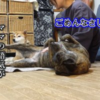 もう一度謝罪！