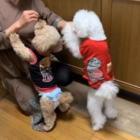 オヤツをおねだり中