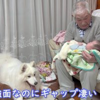 微笑ましいギャップ♡