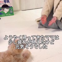 再会の瞬間に涙が止まらない