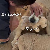 「なんで置いて行ったの！」