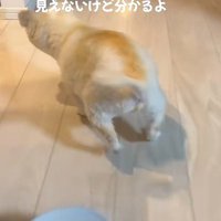 お兄ちゃんの気配が…