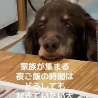 瞼が落ちる