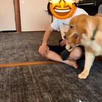 お客さんのまわりを歩く福ちゃん