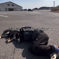 海遊びに疲れて寝転がる柴犬と飼い主