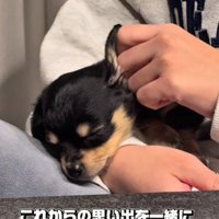 成長しても可愛い♡