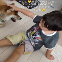 犬をなでる男の子2