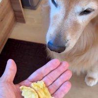 お手伝いするホット君⑩