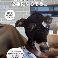 洗い替えも必要です
