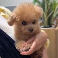 想像以上の震え方！？