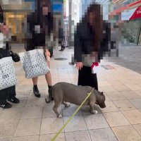 スリスリ近寄って…