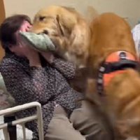 最上級の喜びアピール♡