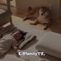 赤ちゃんたちとのんびり