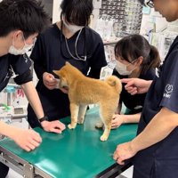 興味津々なゆずちゃん