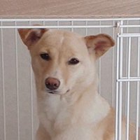 そらちゃんの変化2