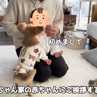 ハナちゃんと赤ちゃんたちの交流2