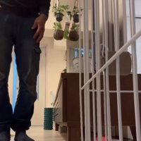 立ち止まるお父さん