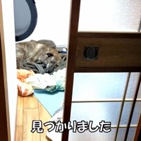 まさかの場所にいたりゅうさん3