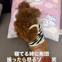 「まぶしい！」