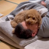 お父さんの上に乗るちゃこたろう君2