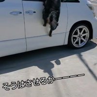 豪快にジャンプ！！