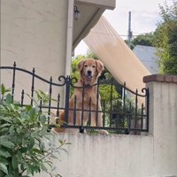 ララちゃんの熱烈歓迎