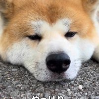 家を出て3分で就寝