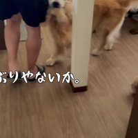 喜びが止まらないベンツくん