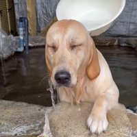 最高の一日になったね♡