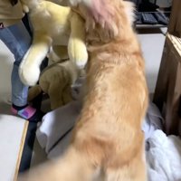 「会いたかったよ～」