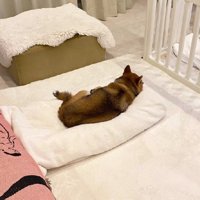 独占してる！！